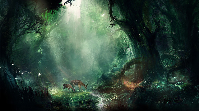 Deer forest light trail woods free wallpaper for desktop - medium preview image