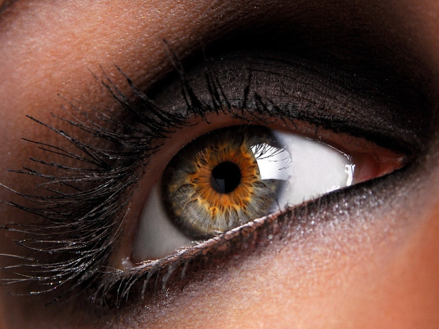 Woman eye brown yellow iris free wallpaper for desktop - medium preview image