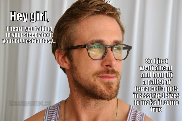 Man glasses quote caption brian free wallpaper for desktop - medium preview image
