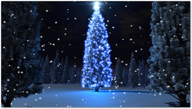Christmas tree lit snowy forest free wallpaper for desktop - medium preview image
