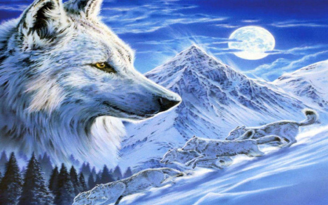 Wolf dog snow full moon free wallpaper for desktop - medium preview image