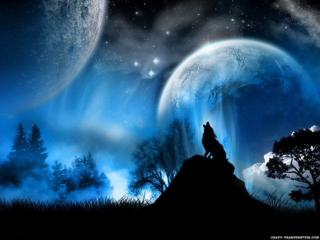 Wolf hill moon stars sky #3 free wallpaper for desktop - medium preview image