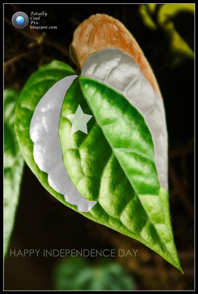 Green leaf crescent star happy free wallpaper for mobile - medium preview image