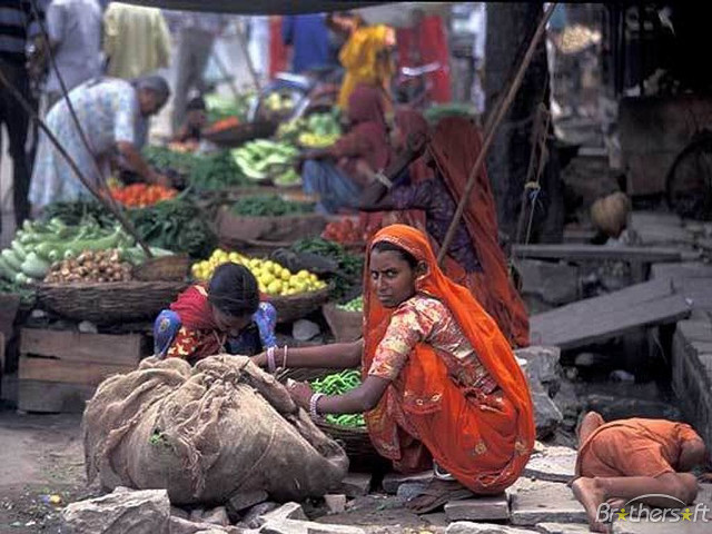 Woman sitting ground pile bags free wallpaper for desktop - medium preview image
