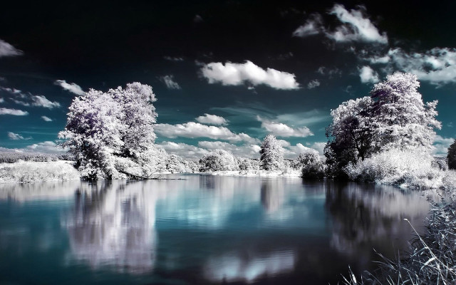 Lake trees clouds blue sky #7 free wallpaper for desktop - medium preview image