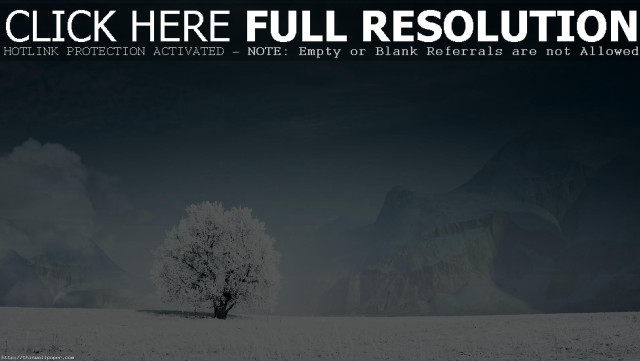 Lone tree snowy field dark free wallpaper for desktop - medium preview image