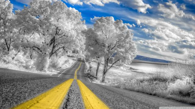 Yellow road trees clouds blue free wallpaper for desktop - medium preview image