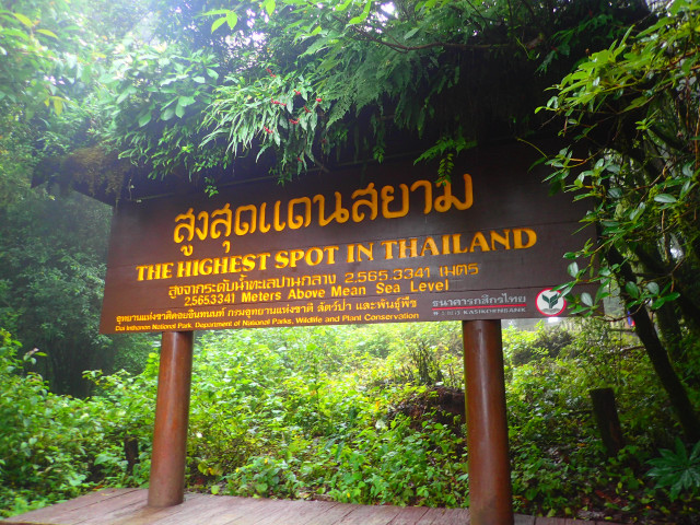 Thailand highest forest sign tiltshift free wallpaper for desktop - medium preview image