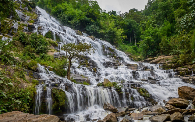 Waterfall tree rocks foreground trees free wallpaper for desktop - medium preview image