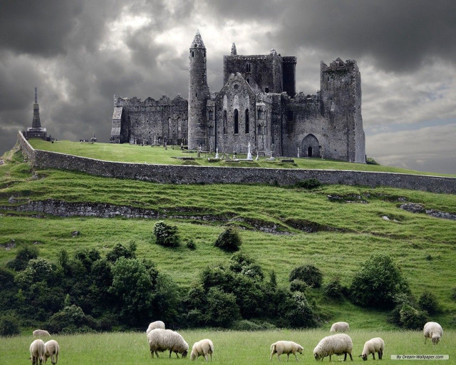 Sheep grazing field castle stormy #2 free wallpaper for desktop - medium preview image