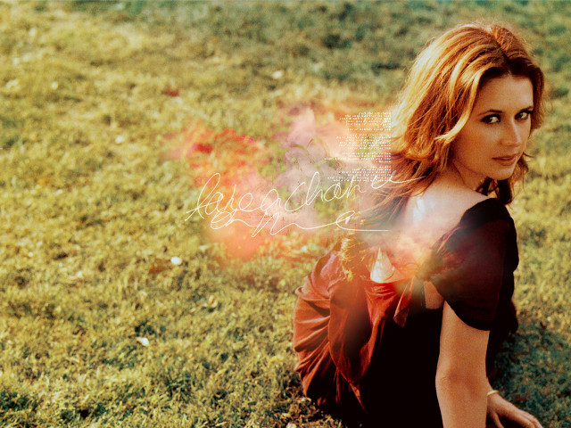 Woman laying grass field blurry free wallpaper for desktop - medium preview image