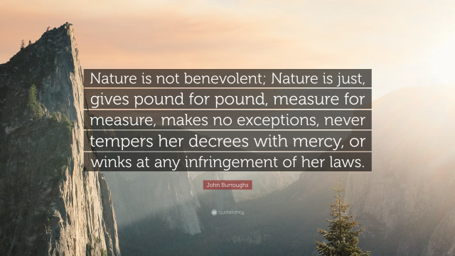 Quote on nature measure benevolent free wallpaper for desktop - medium preview image