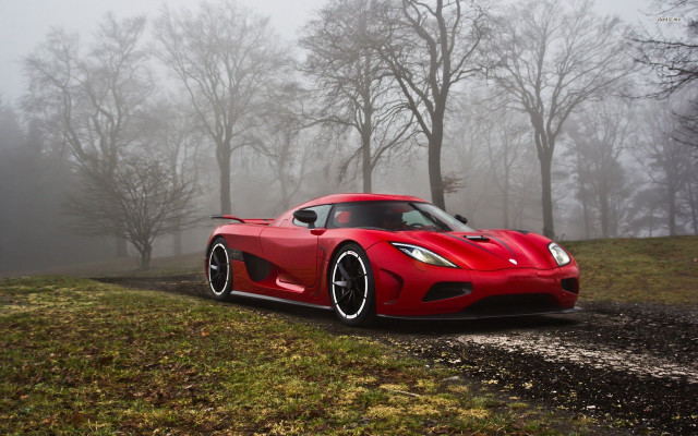Red sports car foggy forest #2 free wallpaper for desktop - medium preview image