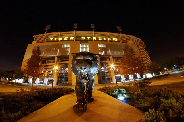Tiger statue stadium night lights free wallpaper for desktop - medium preview image