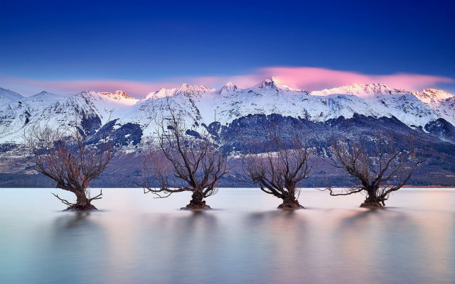 Trees water mountains snow pink free wallpaper for desktop - medium preview image
