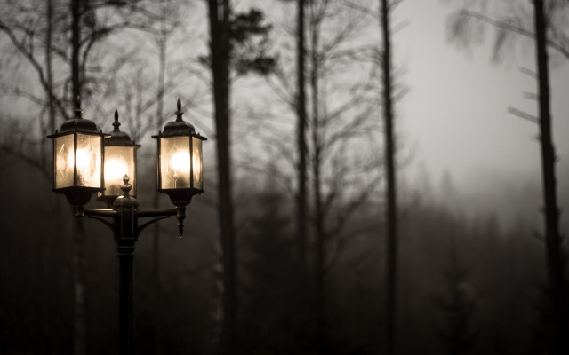 Woods lights pole fog trees free wallpaper for desktop - medium preview image