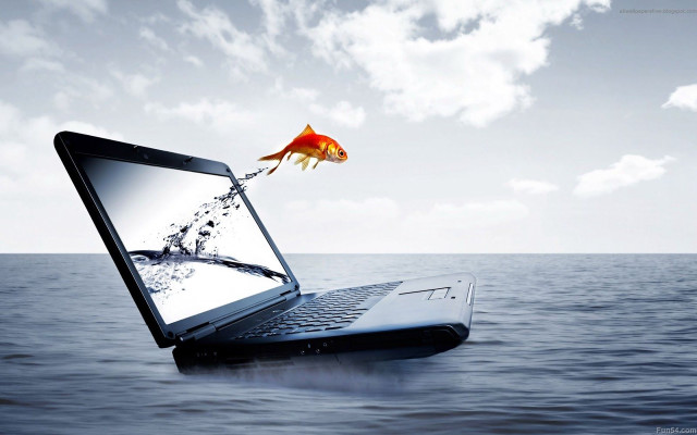 Laptop goldfish screen water sky free wallpaper for desktop - medium preview image