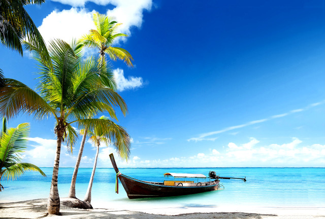 Boat beach palm trees blue #7 free wallpaper for desktop - medium preview image