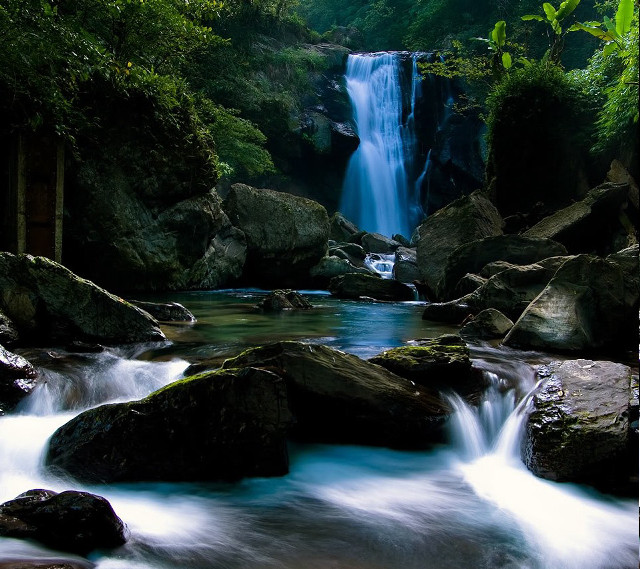Waterfall forest rocks waterflow trees free wallpaper for tablet - medium preview image