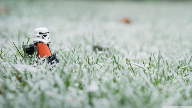 Toy stormtrooper grass frisbee bird free wallpaper for desktop - medium preview image