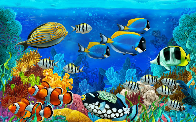 Sea life scene fish corals free wallpaper for desktop - medium preview image
