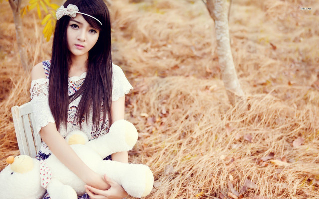 Girl bench teddy bear field free wallpaper for desktop - medium preview image