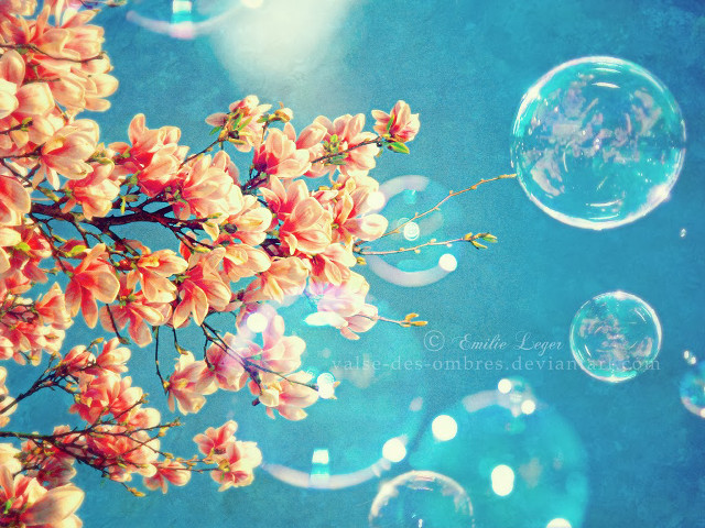 Bubbles tree branch flowers blue free wallpaper for desktop - medium preview image