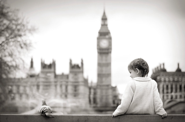 Little boy sitting ledge bird free wallpaper for desktop - medium preview image
