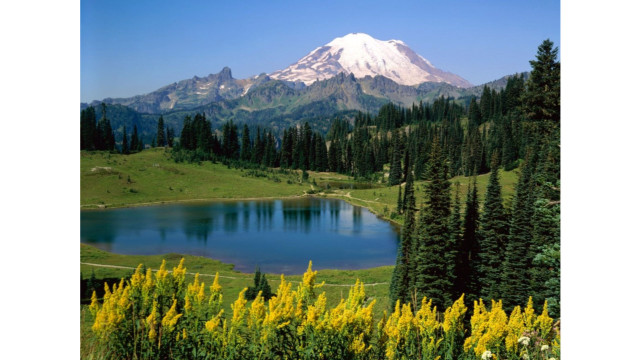 Mountain lake forest yellow flowers #4 free wallpaper for desktop - medium preview image