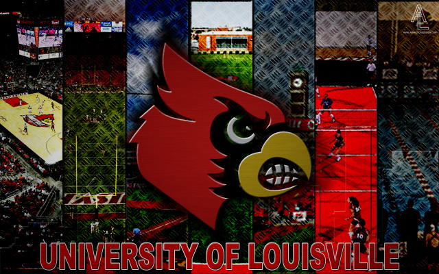 Cardinal basketball court collage university free wallpaper for desktop - medium preview image