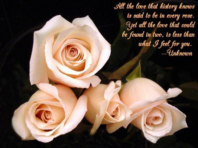 White roses bouquet poem written free wallpaper for desktop - medium preview image
