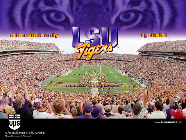 Tiger eye football stadium face free wallpaper for desktop - medium preview image