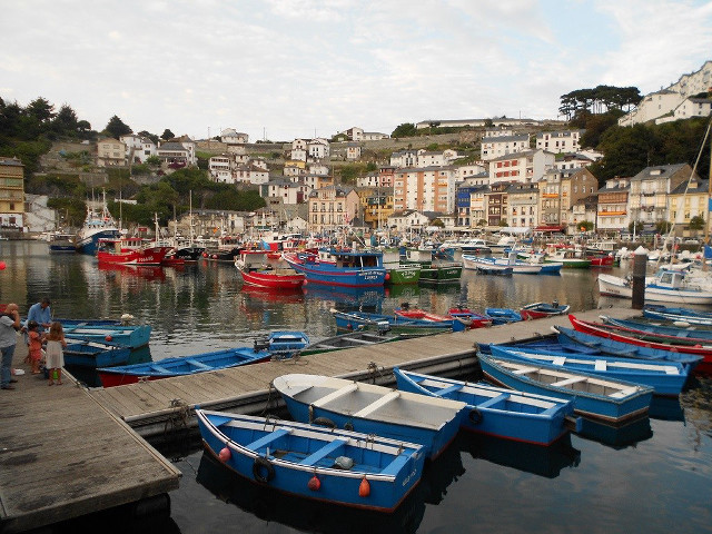 Boats docked harbor city people free wallpaper for desktop - medium preview image