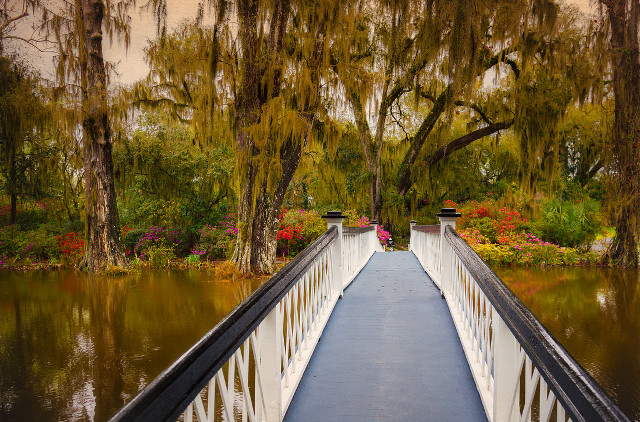 Bridge water trees flowers background free wallpaper for desktop - medium preview image