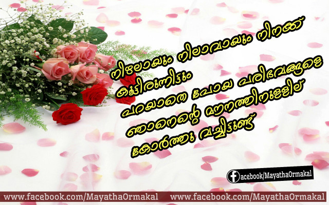 Bouquet roses table white tablecloth free wallpaper for desktop - medium preview image