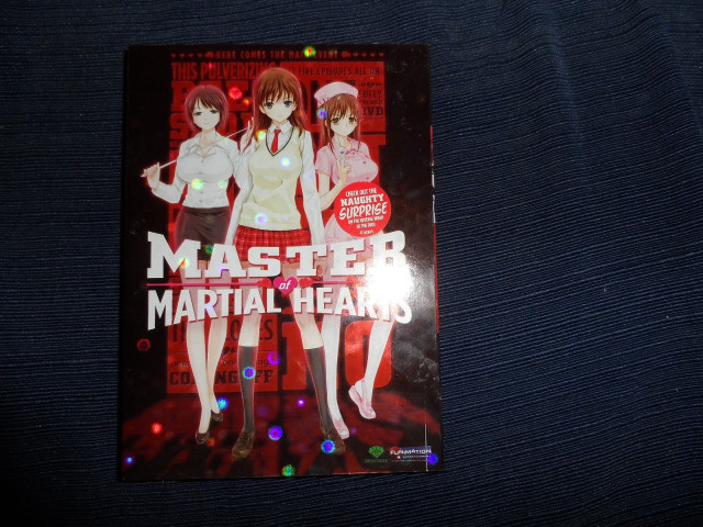 Master martial hero two girls free wallpaper for desktop - medium preview image