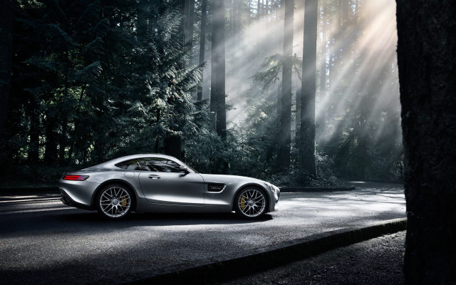 Silver sports car woods sunbeams free wallpaper for desktop - medium preview image