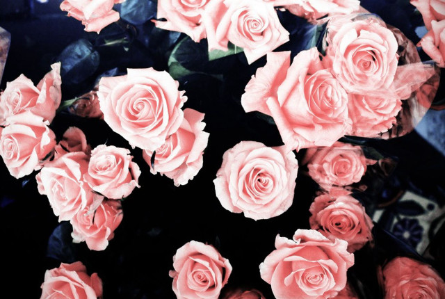 Pink roses bouquet black background #2 free wallpaper for desktop - medium preview image