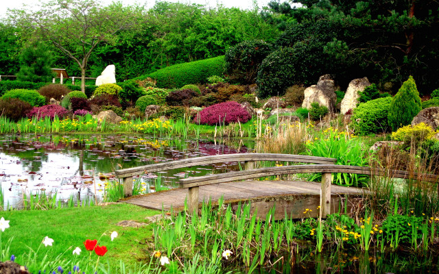 Wooden bridge pond garden flowers free wallpaper for desktop - medium preview image