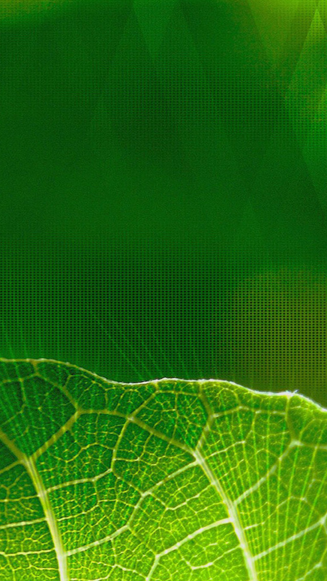 Green leaf microscopic 4k tennis free wallpaper for mobile - medium preview image