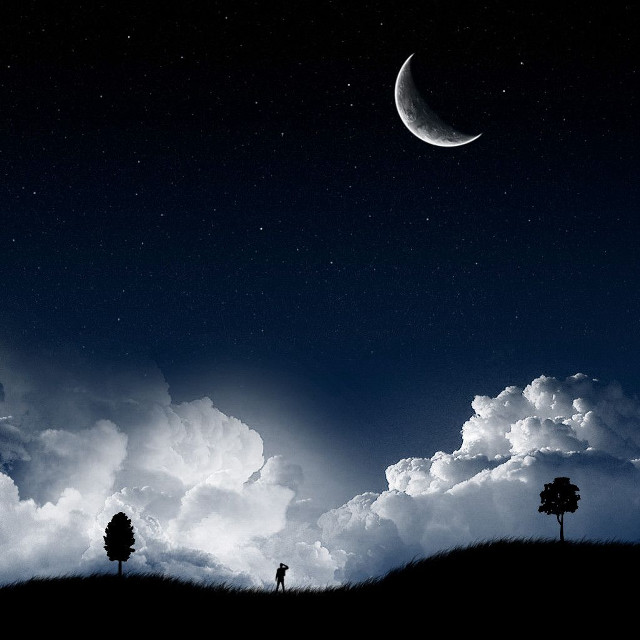 Trees grass moon clouds sky free wallpaper for tablet - medium preview image