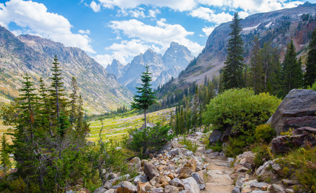 Rocky trail mountain trees grassy free wallpaper for desktop - medium preview image