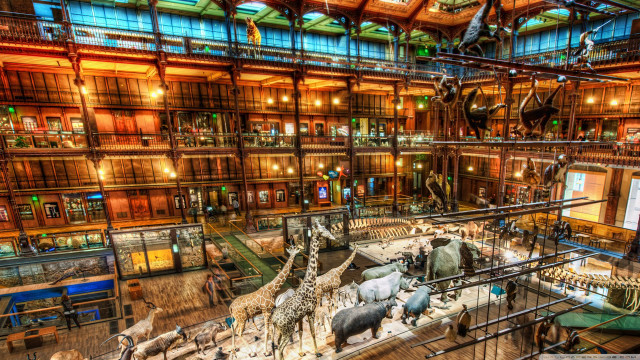Museum animals architecture cityscape fantasy free wallpaper for desktop - medium preview image