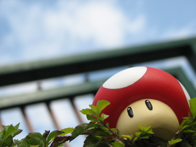 Mushroom toy tree sky bridge free wallpaper for desktop - medium preview image