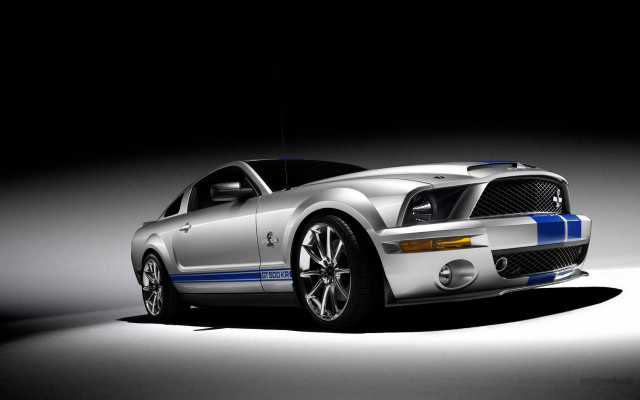 Silver mustang blue stripes hood free wallpaper for desktop - medium preview image