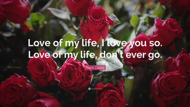 Red roses quote beautiful love free wallpaper for desktop - medium preview image