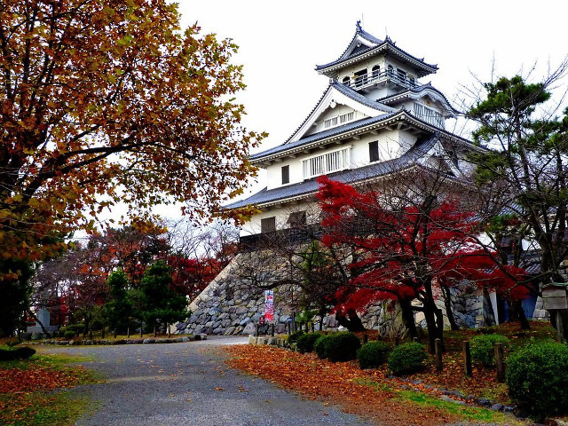 Tall white building tower trees #4 free wallpaper for desktop - medium preview image
