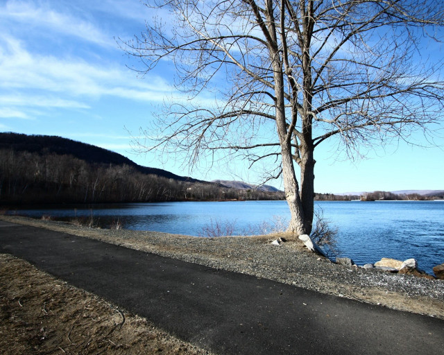 Tree road lake mountains blue free wallpaper for desktop - medium preview image