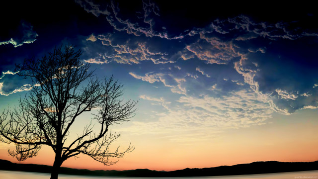 Tree silhouette sunset sky clouds #2 free wallpaper for desktop - medium preview image