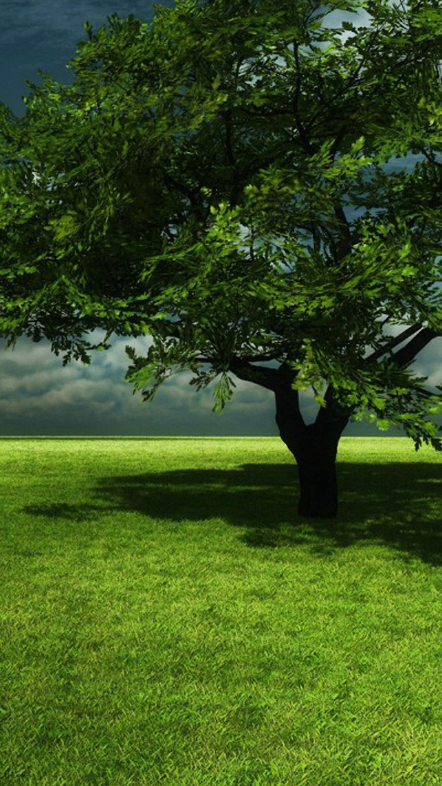 Tree field cloudy sky bench free wallpaper for mobile - medium preview image